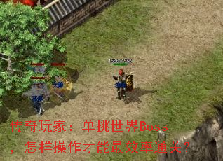 ������ң���������Boss����������������Ч��ͨ�أ�