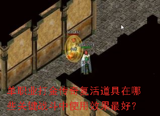 ��ְҵ����渴���������Щ�ؼ�ս����ʹ��Ч����ã�