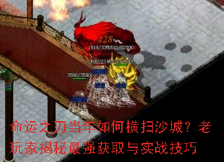 ����֮�е�����κ�ɨɳ�ǣ�����ҽ�����ǿ��ȡ��ʵս����