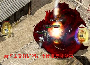 ��λ��ܺ�Ұ����ǡǡ�෴����Ӯ