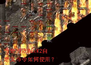 ������ϷMaxM2�Զ����������ʹ�ã�