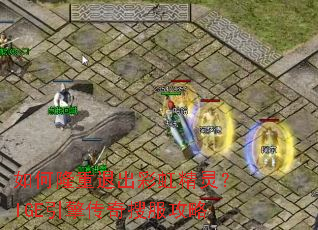 ���¡���˳��ʺ羫�飿IGE���洫���ѷ�����