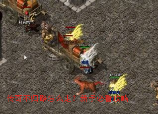 ���治��·��ô�ߣ����ֱؿ�����