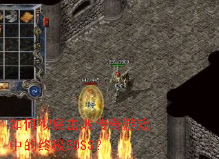 ��γ��׻��ܴ�����Ϸ�е��ռ�BOSS��