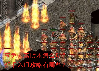 ����Ԫ�ذ汾��ô�棿�������Ź�������Щ��