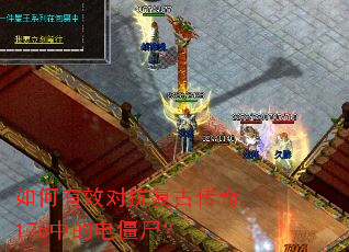 �����Ч�Կ����Ŵ���176�еĵ罩ʬ��