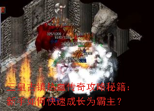 ���ʹ�����Ѫ���湥���ؼ���������ο��ٳɳ�Ϊ������