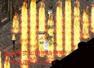 Ѫ���ʵ�����ȷʹ�ò��ܿ�������ս����