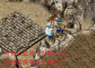 ���湫�����Ϊ��ֻ��������ӵ��������ԣ�