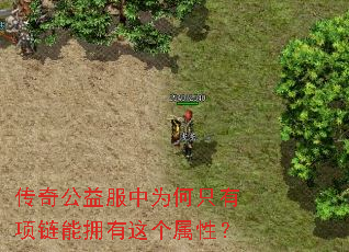 ���湫�����Ϊ��ֻ��������ӵ��������ԣ�