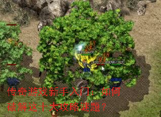 传奇游戏新手入门:如何破解这十大攻略谜题? 传奇游戏新手入门:如何破解这十大攻略谜题?
