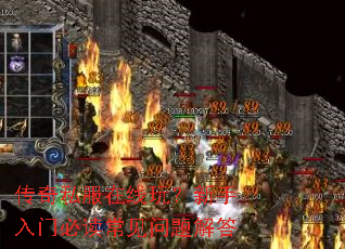 ����˽�������棿�������űض�����������