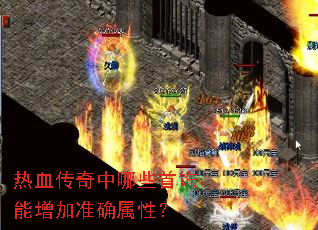 ��Ѫ��������Щ����������׼ȷ���ԣ�