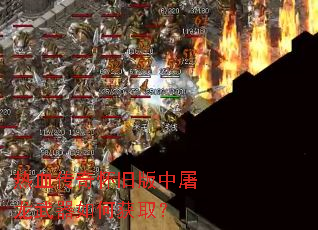 ��Ѫ���滳�ɰ�������������λ�ȡ��