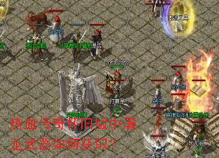 ��Ѫ���滳�ɰ�������������λ�ȡ��