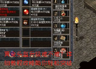 �ƽ�ͷ�������Ѳ��ѣ���ϸ�̳̹�����������ͻ��