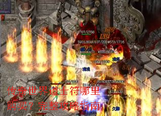 ���������ʿ�����ﹺ����������ָ��