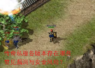 ����˽�����汾������Щ����©���밲ȫ���գ�
