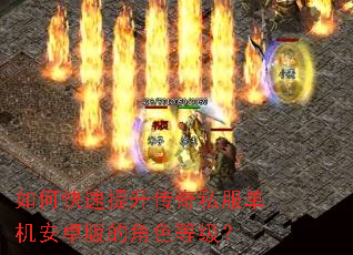 ��ο�����������˽��������׿��Ľ�ɫ�ȼ���
