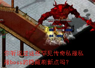 ����˵����Щ��������˽��˽��boss������ˢ�µ���