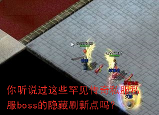 ����˵����Щ��������˽��˽��boss������ˢ�µ���