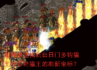 ��ο����ҵ������Ŷ๳è���붤��è����ˢ�����ꣿ