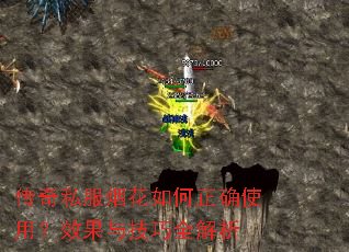 ����˽���̻������ȷʹ�ã�Ч���뼼��ȫ����