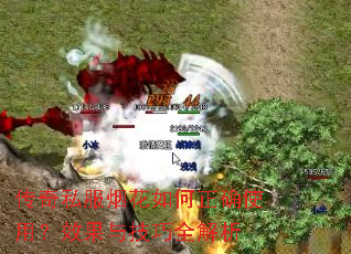 ����˽���̻������ȷʹ�ã�Ч���뼼��ȫ����