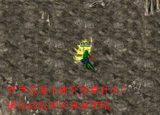 ���¶�ħ���徿����ʲô�������ռ�BOSS��������