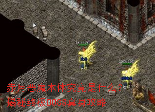 ���¶�ħ���徿����ʲô�������ռ�BOSS��������
