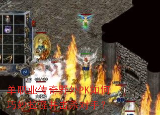 ��ְҵ����Ұ��PK����������ֲ���ɱ���֣�