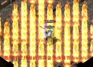 ���Ŵ������������豸�������Σ�