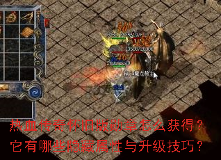 ��Ѫ���滳�ɰ�ѫ����ô��ã�������Щ�����������������ɣ�