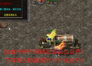 ��Ѫ���滳�ɰ�ѫ����ô��ã�������Щ�����������������ɣ�