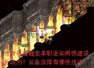 ����˽�����䵥ְҵ��ο�������ս����װ��ѡ������Щ���ɣ�