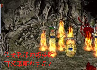 ����˽���弶��������ȡ��Щ��Ʒ��