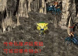 ����˽���弶��������ȡ��Щ��Ʒ��