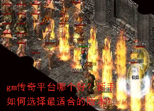 gm����ƽ̨�ĸ��ã��������ѡ�����ʺϵİ汾��