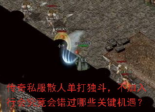 传奇私服散人单打独斗,不加入行会究竟会错过哪些关键机遇? 传奇私服散人单打独斗,不加入行会究竟会错过哪些关键机遇?