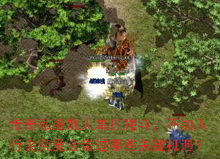 传奇私服散人单打独斗,不加入行会究竟会错过哪些关键机遇? 传奇私服散人单打独斗,不加入行会究竟会错过哪些关键机遇?
