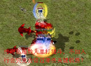 传奇私服散人单打独斗,不加入行会究竟会错过哪些关键机遇? 传奇私服散人单打独斗,不加入行会究竟会错过哪些关键机遇?