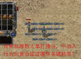 传奇私服散人单打独斗,不加入行会究竟会错过哪些关键机遇? 传奇私服散人单打独斗,不加入行会究竟会错过哪些关键机遇?