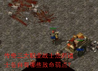 ��������ְҵսʿ��ʦ��ʿ��������Щ�������㣿