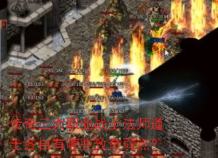 ��������ְҵսʿ��ʦ��ʿ��������Щ�������㣿