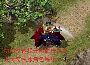 如何快速提升热血传说复古传奇私服角色等级? 如何快速提升热血传说复古传奇私服角色等级?