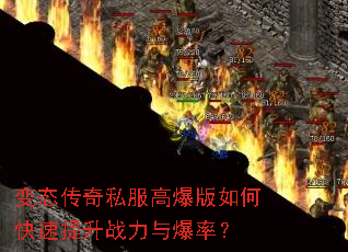 ��̬����˽���߱�����ο�������ս���뱬�ʣ�