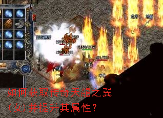 如何获取传奇天龍之翼(女)并提升其属性? 如何获取传奇天龍之翼(女)并提升其属性?