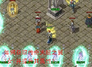 如何获取传奇天龍之翼(女)并提升其属性? 如何获取传奇天龍之翼(女)并提升其属性?