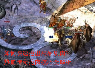 如何快速挖出高品质肉?热血传奇挖肉技巧全解析 如何快速挖出高品质肉?热血传奇挖肉技巧全解析