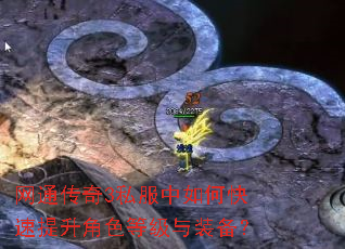 网通传奇3私服中如何快速提升角色等级与装备? 网通传奇3私服中如何快速提升角色等级与装备?
